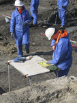 907199 Afbeelding van enkele archeologen die onderzoek doen op het terrein van het nieuwbouwproject Zijdebalen aan de ...